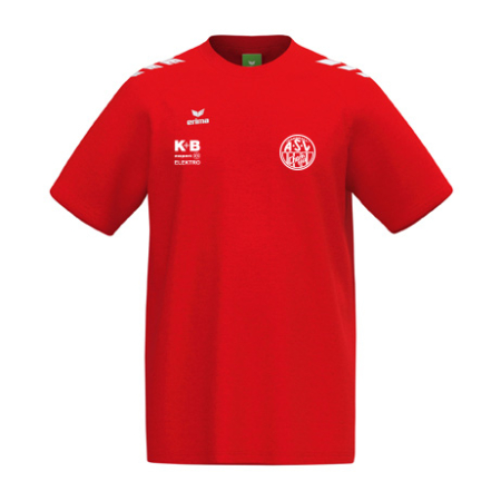 CMPT 3 Wings T-Shirt rot/weiß